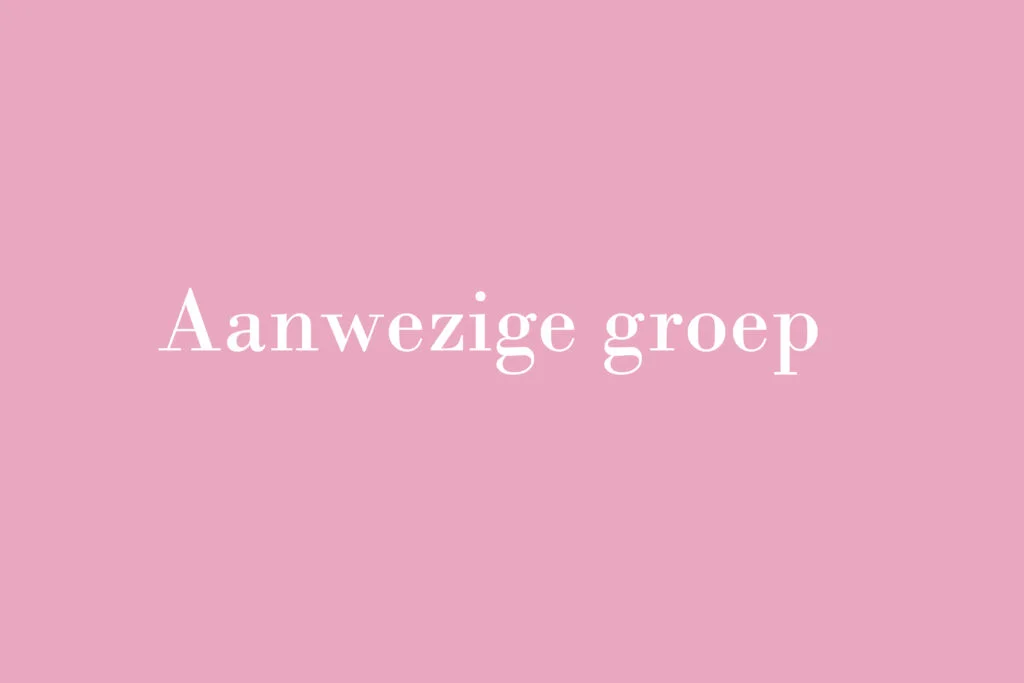 De verhalen van de Bruidsstyliste: Aanwezige groep